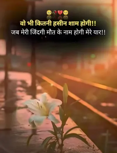 1c9009b30b66420eea45959ea45cdea07df7ae5d 720x992 ZJSTsX e1763450525959