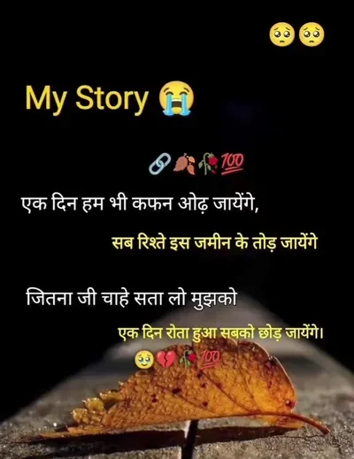 1e826bf9f7583e0249f86f0b60a23e949948b0d2 720x988 ZdtCEL e1763449882308