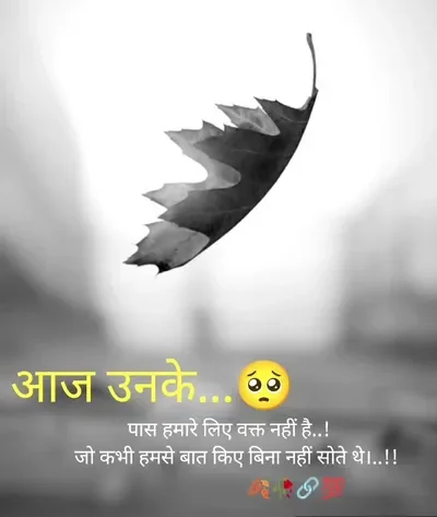 5c86a06864c3dfe74cfd1437102626a7fdb774e9 720x900 27lgef e1763450108703