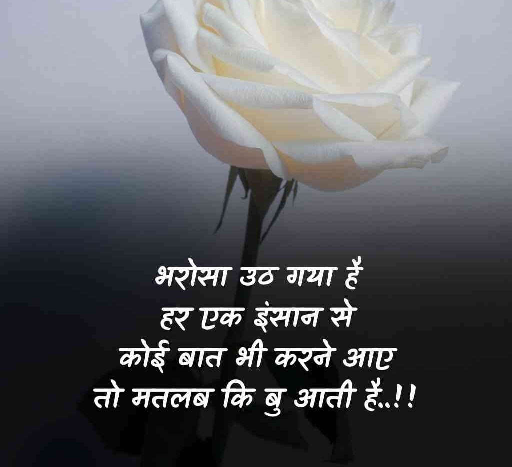 matlabi log shayari 7 e1765775706456