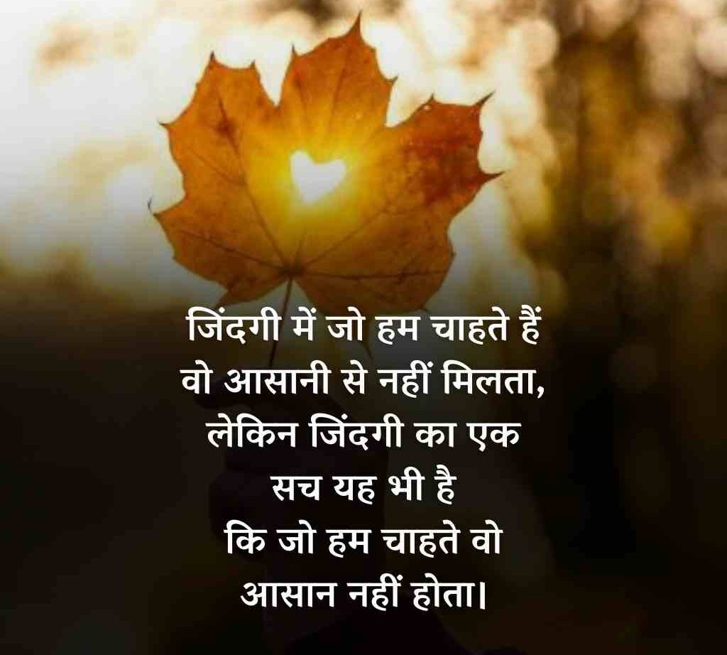 30087415 e1771563736351