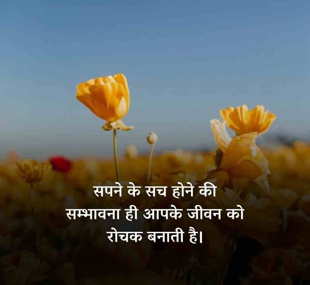 50087415 e1771563810242