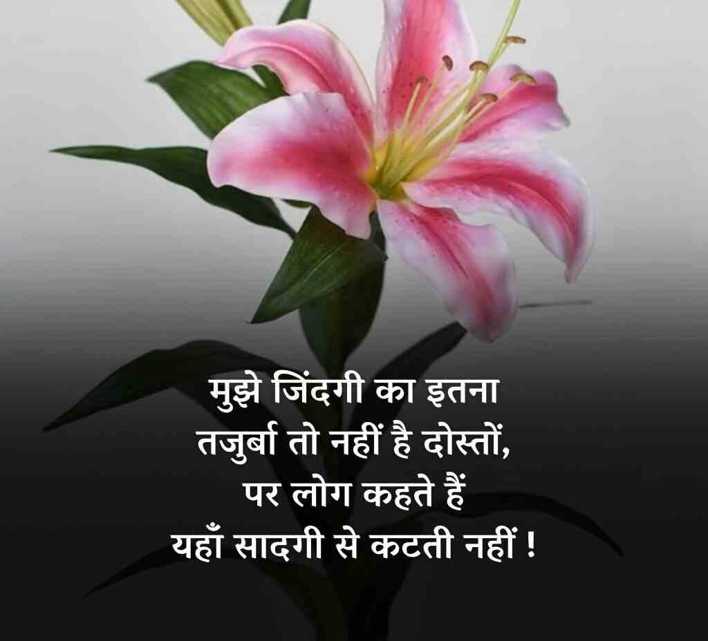 60087415 e1771563863250