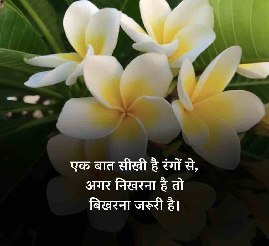 70087415 e1771563901728