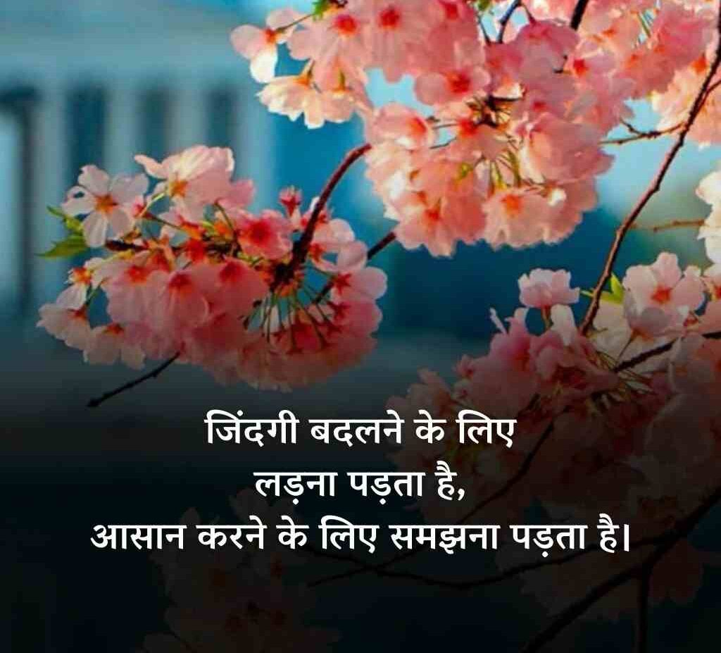 80087415 e1771563938870