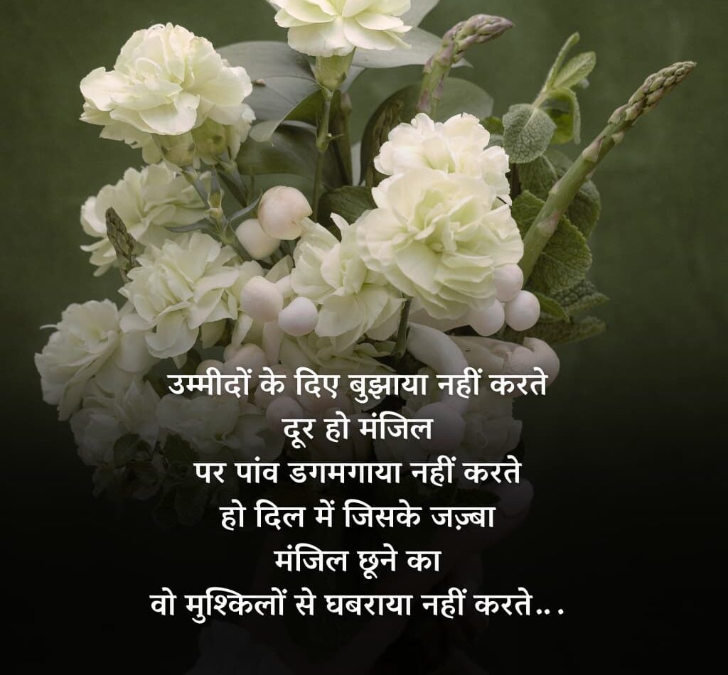 100654123 e1774008137600