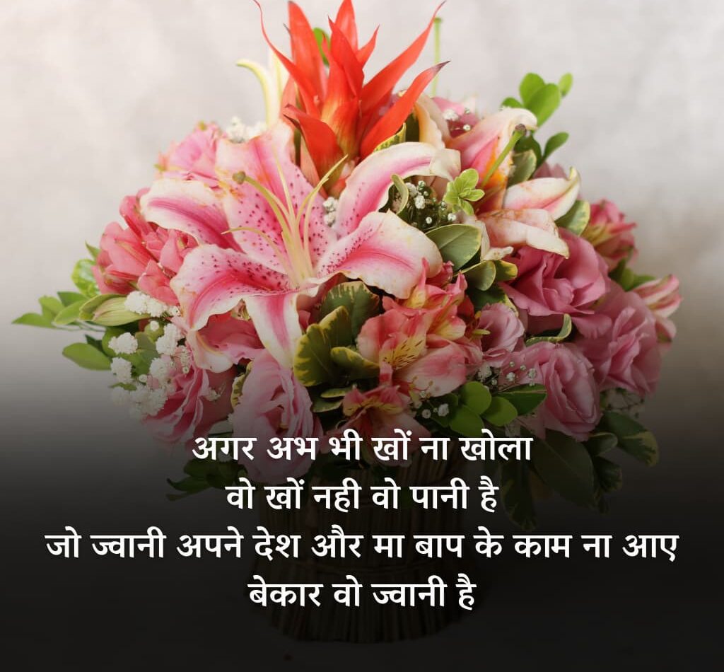 200654123 e1774008177737