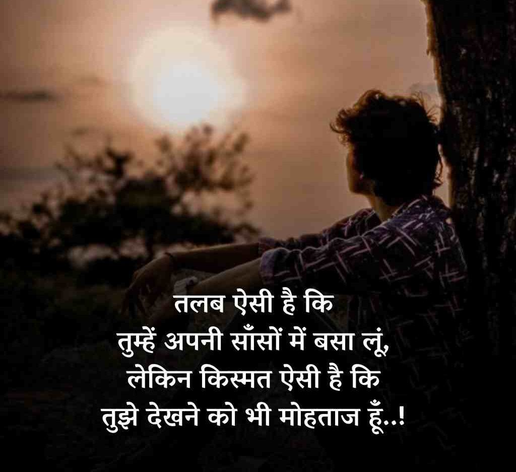 40541261 e1773378006118