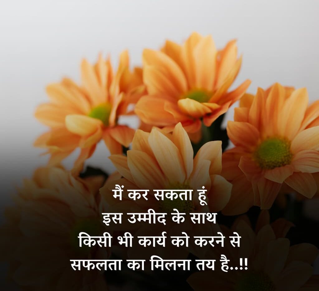 500654123 e1774008281425