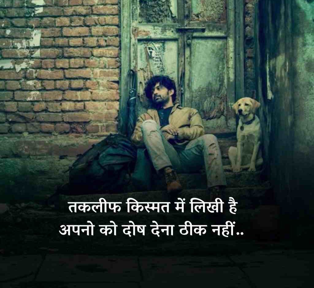 50541261 e1773378027260